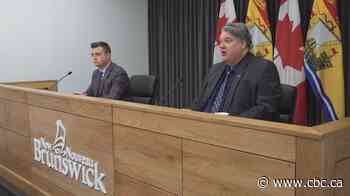 Bill would add mental health to job of N.B.'s child, youth and seniors advocate