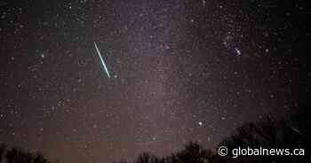 Saskatchewan skies: Catching the Orionid meteor shower