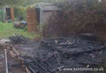 ‘It’s concerning’: Allotment shed torched days after mattress and cones set ablaze