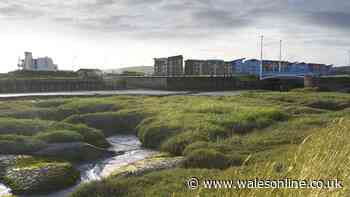 Carmarthenshire Council needs to spend £39m a year to hit its 'net zero' target