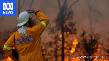 Bushfires cost Australia $6b a year as El Niño summer looms, report finds