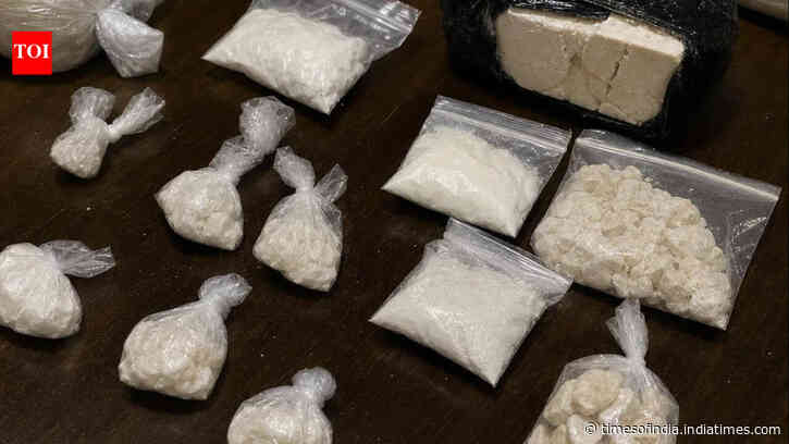 Drone-linked narco-terror module busted in Jammu; 804 gm heroin; 1.1 kg opium seized