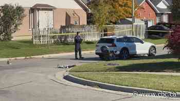 Girl, 2, critically hurt after driver hits daycare worker, 5 children in Oshawa: police