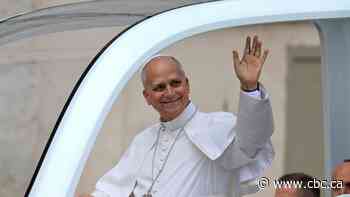 Pope needs no further treatment for lung cancer, his doctors say
