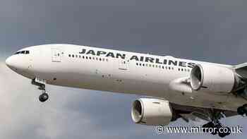 Snake found slithering under carpet on Japan Air plane before take-off