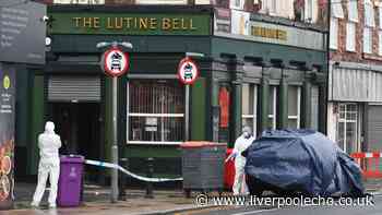 Teenagers, 16 and 15, arrested for attempted murder after boy stabbed in Everton street