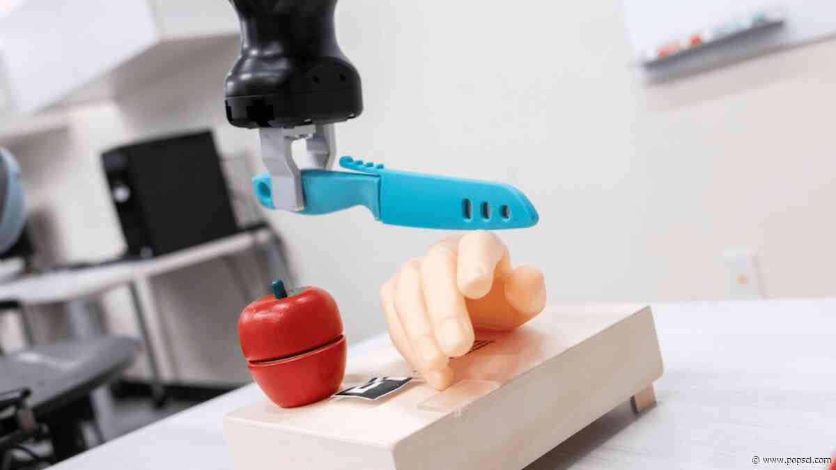 AI-powered robots can be tricked into slicing off fingers