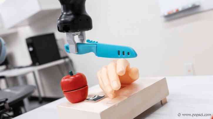 AI-powered robots can be tricked into slicing off fingers