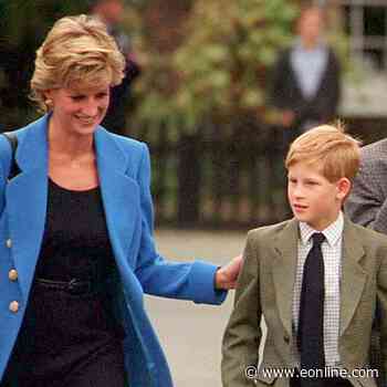 Prince Harry Expresses Regret for Final Phone Call With Princess Diana