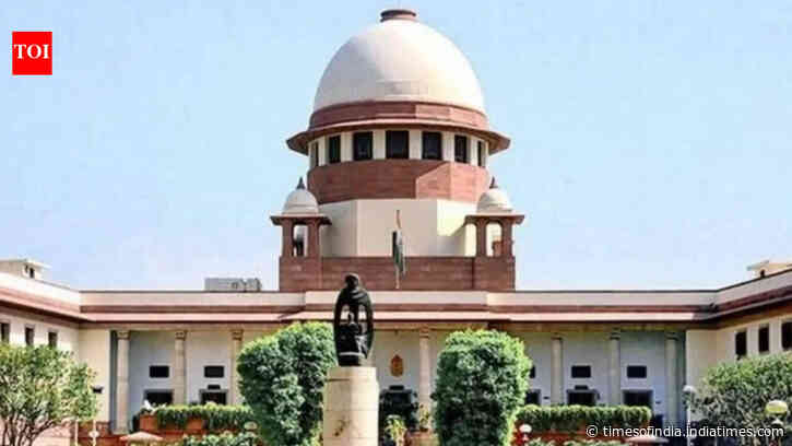 Confidence in poll process key for democracy, halt list of candidates: SC to AP SEC
