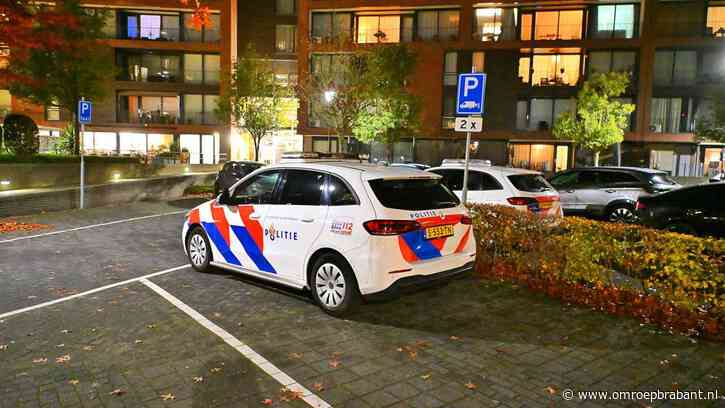 Oude vrouw in haar huis overvallen, sieraden van lichaam gerukt