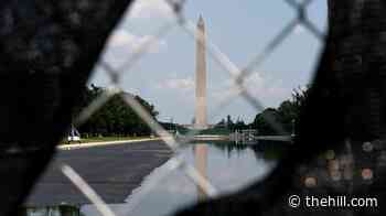 Ex-Olympic canoeist's lawyers urge DOJ inspector general to reconsider Reflecting Pool case probe