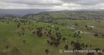 Prime livestock country backed by outstanding water security | Video