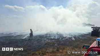 Wildfires are UK's 'new reality', MPs warn