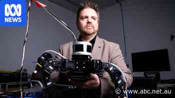 These robots are built using biology from insects — the creators say it's a game changer