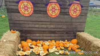 ‘Depressing’ Suffolk pumpkin patch dubbed ‘new Glasgow Willy Wonka experience’ in horror review
