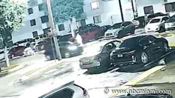 Couple watched thieves steal SUV right in front of them, surveillance shows