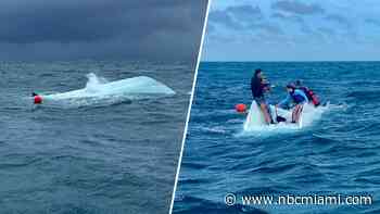 U.S. Coast Guard rescues 4 after catamaran capsizes off the Florida Keys