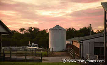 Dairy Management Inc. launches Portraits of Modern Dairy