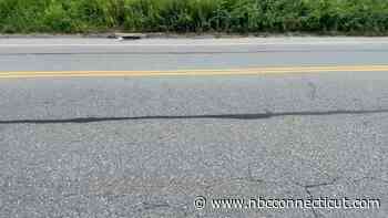 $5,000 reward offered after 3 kittens thrown from moving car in North Stonington