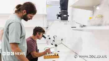 New lab to become centre for investigating uplands