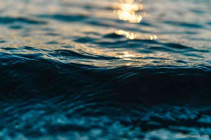 South African Swimmer Janine Lochrenberg Dies in Shark Attack