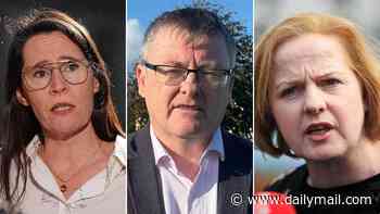 It's virtue-signalling gone mad... Sinn Fein, the Social Democrats and the Labour Party all back legal change to allow stillborn babies be classified as 'non-binary'