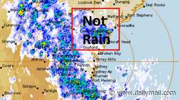 Aussies confused after enormous swarm of moths shows up as rain on radar