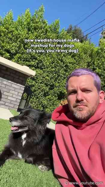 do any of my dogs want this edit