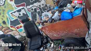 Community skips could stop 'persistent' fly-tips