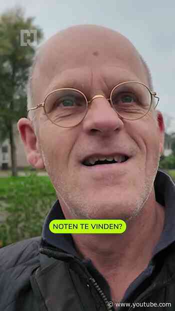 Een zeldzame vogel zorgt voor een hoop bekijks in Beverwijk!