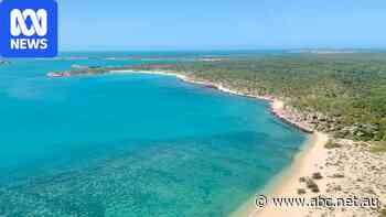 Mine on tropical island plans to pump pit water into ocean