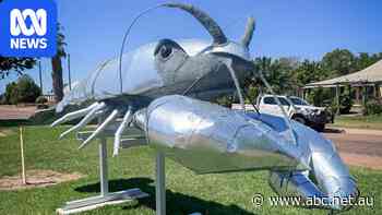 Outback giant yabby Australia's latest 'big thing'