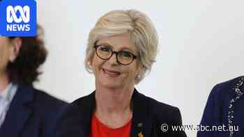 Alleged attack on Helen Haines was 'sadly predictable' in political climate