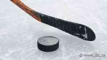Player sues opponent, league and Hockey Manitoba over injuries suffered in game