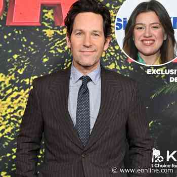 Paul Rudd Assembles at Art of Play Store After Kelly Clarkson Feud
