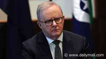 Albanese claims Helen Haines dirt sheet was a list showing her 'integrity'