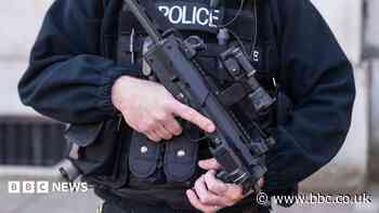 Knife seized as armed officers called to incident