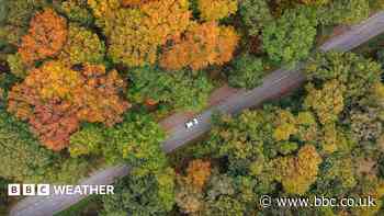 Where to spot brilliant colours after 'false autumn' spoils some leaf displays