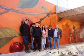 In Limburg: Streetart brengt Fruitspoor tot leven in fietstunnel in Tongeren  Borgloon