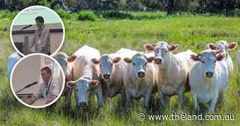 Can three photos weigh an animal? The future of AI in livestock research