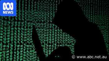 No government websites hacked after global security flaw found — as it happened