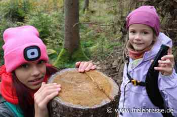 Schatzsuche im Erzgebirge: Wie Kinder beim Geocaching den Wald entdecken