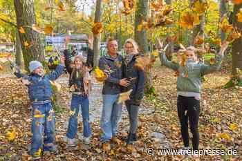 Herbstferien im Erzgebirge: Diese Ausflugstipps haben Familien bei Schmuddelwetter