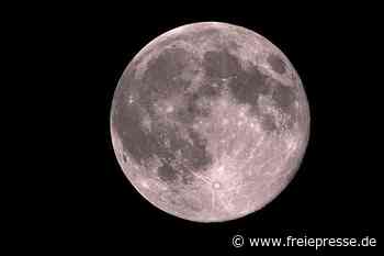 Greiz: Mystische Führung bei Vollmond im fürstlichen Park
