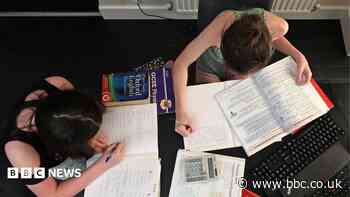 Continuing rise in home-schooling being 'monitored'