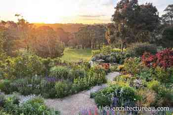 Residential gardens celebrated in Landscape Australia Awards