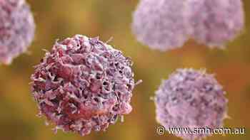 Amplia uncovers new clue in pancreatic cancer drug trial
