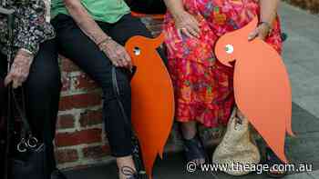 ‘We’re just showing our support for Helen’: Wangaratta turns orange for Haines