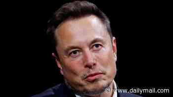Elon Musk threatens Hillary Clinton's podcast partner Kara Swisher with prison after she claimed to know 'what's coming for him' if Democrats take power